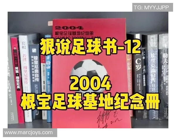 粤语音译足球明星的魅力与传奇故事探讨