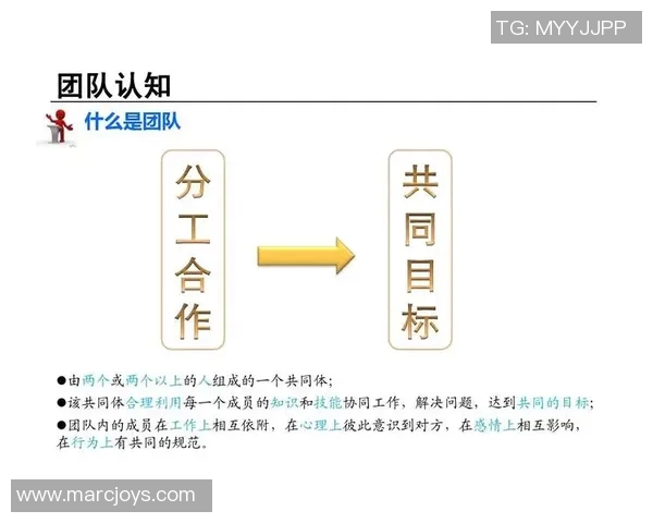 上海网球队战术解析：如何在比赛中运用策略提升胜率与团队协作