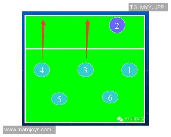 深入分析上海排球队的节奏打法及其战术优势与应用技巧