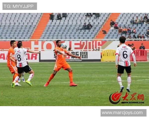 武汉排球队区域防守革新之路探索与实践分析 武汉排球队区域防守革新之路探索与实践分析